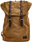 Brown Backpack